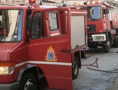 Λάρισα: Γάτα κλείστηκε σε ΑΤΜ! - Απίθανη επιχείρηση διάσωσης από την Πυροσβεστική